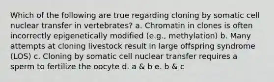 Which of the following are true regarding cloning by somatic cell nuclear transfer in vertebrates? a. Chromatin in clones is often incorrectly epigenetically modified (e.g., methylation) b. Many attempts at cloning livestock result in large offspring syndrome (LOS) c. Cloning by somatic cell nuclear transfer requires a sperm to fertilize the oocyte d. a & b e. b & c