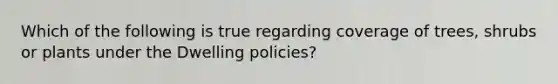 Which of the following is true regarding coverage of trees, shrubs or plants under the Dwelling policies?