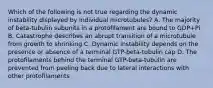 Which of the following is not true regarding the dynamic instability displayed by individual microtubules? A. The majority of beta-tubulin subunits in a protoﬁlament are bound to GDP+Pi B. Catastrophe describes an abrupt transition of a microtubule from growth to shrinking C. Dynamic instability depends on the presence or absence of a terminal GTP-beta-tubulin cap D. The protoﬁlaments behind the terminal GTP-beta-tubulin are prevented from peeling back due to lateral interactions with other protoﬁlaments