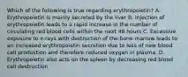 Which of the following is true regarding erythropoietin? A. Erythropoietin is mainly secreted by the liver B. Injection of erythropoietin leads to a rapid increase in the number of circulating red blood cells within the next 48 hours C. Excessive exposure to x-rays with destruction of the bone marrow leads to an increased erythropoietin secretion due to loss of new blood cell production and therefore reduced oxygen in plasma. D. Erythropoietin also acts on the spleen by decreasing red blood cell destruction