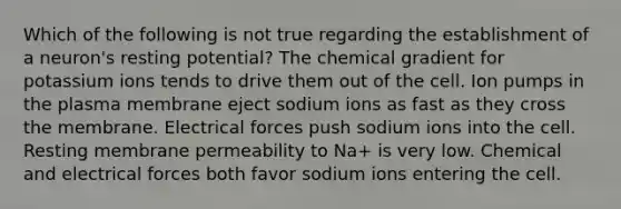 Which of the following is not true regarding the establishment of a neuron's resting potential? The chemical gradient for potassium ions tends to drive them out of the cell. Ion pumps in the plasma membrane eject sodium ions as fast as they cross the membrane. Electrical forces push sodium ions into the cell. Resting membrane permeability to Na+ is very low. Chemical and electrical forces both favor sodium ions entering the cell.