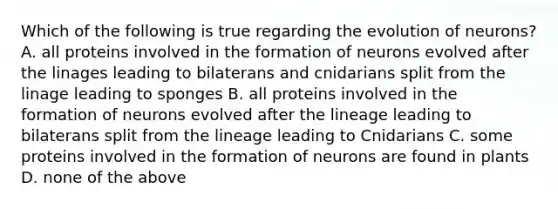 Which of the following is true regarding the evolution of neurons? A. all proteins involved in the formation of neurons evolved after the linages leading to bilaterans and cnidarians split from the linage leading to sponges B. all proteins involved in the formation of neurons evolved after the lineage leading to bilaterans split from the lineage leading to Cnidarians C. some proteins involved in the formation of neurons are found in plants D. none of the above