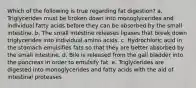 Which of the following is true regarding fat digestion? a. Triglycerides must be broken down into monoglycerides and individual fatty acids before they can be absorbed by the small intestine. b. The small intestine releases lipases that break down triglycerides into individual amino acids. c. Hydrochloric acid in the stomach emulsifies fats so that they are better absorbed by the small intestine. d. Bile is released from the gall bladder into the pancreas in order to emulsify fat. e. Triglycerides are digested into monoglycerides and fatty acids with the aid of intestinal proteases