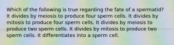 Which of the following is true regarding the fate of a spermatid? It divides by meiosis to produce four sperm cells. It divides by mitosis to produce four sperm cells. It divides by meiosis to produce two sperm cells. It divides by mitosis to produce two sperm cells. It differentiates into a sperm cell.