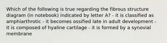 Which of the following is true regarding the fibrous structure diagram (in notebook) indicated by letter A? - it is classified as amphiarthrotic - it becomes ossified late in adult development - it is composed of hyaline cartilage - it is formed by a synovial membrane