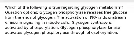 Which of the following is true regarding glycogen metabolism? Question options: Glycogen phosphorylase releases free glucose from the ends of glycogen. The activation of PKA is downstream of insulin signaling in muscle cells. Glycogen synthase is activated by phosporylation. Glycogen phosphorylase kinase activates glycogen phosphorylase through phosphorylation.