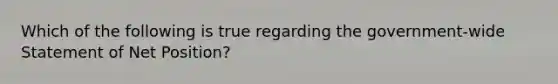Which of the following is true regarding the government-wide Statement of Net Position?