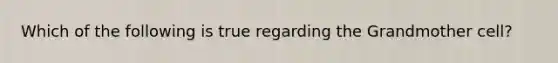 Which of the following is true regarding the Grandmother cell?