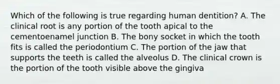 Which of the following is true regarding human dentition? A. The clinical root is any portion of the tooth apical to the cementoenamel junction B. The bony socket in which the tooth fits is called the periodontium C. The portion of the jaw that supports the teeth is called the alveolus D. The clinical crown is the portion of the tooth visible above the gingiva