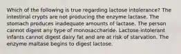 Which of the following is true regarding lactose intolerance? The intestinal crypts are not producing the enzyme lactase. The stomach produces inadequate amounts of lactase. The person cannot digest any type of monosaccharide. Lactose-intolerant infants cannot digest dairy fat and are at risk of starvation. The enzyme maltase begins to digest lactose.