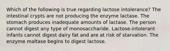 Which of the following is true regarding lactose intolerance? The intestinal crypts are not producing the enzyme lactase. The stomach produces inadequate amounts of lactase. The person cannot digest any type of monosaccharide. Lactose-intolerant infants cannot digest dairy fat and are at risk of starvation. The enzyme maltase begins to digest lactose.