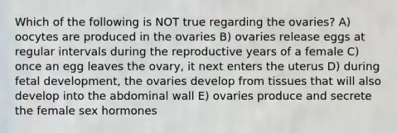 Which of the following is NOT true regarding the ovaries? A) oocytes are produced in the ovaries B) ovaries release eggs at regular intervals during the reproductive years of a female C) once an egg leaves the ovary, it next enters the uterus D) during fetal development, the ovaries develop from tissues that will also develop into the abdominal wall E) ovaries produce and secrete the female sex hormones