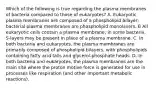 Which of the following is true regarding the plasma membranes of bacteria compared to those of eukaryotes? A. Eukaryotic plasma membranes are composed of a phospholipid bilayer; bacterial plasma membranes are phospholipid monolavers. B All eukaryotic cells contain a plasma membrane; in some bacteria, S-layers may be present in place of a plasma membrane. C. In both bacteria and eukaryotes, the plasma membranes are primarily composed of phospholipid bilayers, with phospholipids containing fatty acid tails and glycerol-phosphate heads. D. In both bacteria and eukaryotes, the plasma membranes are the main site where the proton motive force is generated for use in processes like respiration (and other important metabolic reactions).