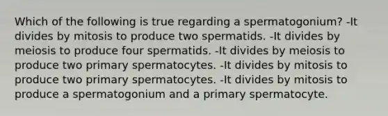 Which of the following is true regarding a spermatogonium? -It divides by mitosis to produce two spermatids. -It divides by meiosis to produce four spermatids. -It divides by meiosis to produce two primary spermatocytes. -It divides by mitosis to produce two primary spermatocytes. -It divides by mitosis to produce a spermatogonium and a primary spermatocyte.