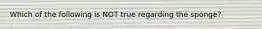 Which of the following is NOT true regarding the sponge?