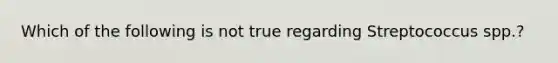 Which of the following is not true regarding Streptococcus spp.?