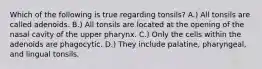 Which of the following is true regarding tonsils? A.) All tonsils are called adenoids. B.) All tonsils are located at the opening of the nasal cavity of the upper pharynx. C.) Only the cells within the adenoids are phagocytic. D.) They include palatine, pharyngeal, and lingual tonsils.