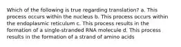 Which of the following is true regarding translation? a. This process occurs within the nucleus b. This process occurs within the endoplasmic reticulum c. This process results in the formation of a single-stranded RNA molecule d. This process results in the formation of a strand of amino acids