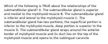 Which of the following is TRUE about the relationships of the submandibular gland? A. The submandibular gland is superior and medial to the mylohyoid muscle B. The submandibular gland is inferior and lateral to the mylohyoid muscle C. The submandibular gland has two portions, the superficial portion is inferior to the mylohyoid muscle, deep portion is superior to the muscle D. The submandibular gland wraps around the anterior border of mylohyoid muscle and its duct lies on the top of the mylohyoid muscle and opens to the sublingual caruncle