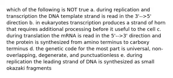 which of the following is NOT true a. during replication and transcription the DNA template strand is read in the 3'-->5' direction b. in eukaryotes transcription produces a strand of horn that requires additional processing before it useful to the cell c. during translation the mRNA is read in the 5'-->3' direction and the protein is synthesized from amino terminus to carboxy terminus d. the genetic code for the most part is universal, non-overlapping, degenerate, and punctuationless e. during replication the leading strand of DNA is synthesized as small okazaki fragments