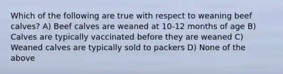 Which of the following are true with respect to weaning beef calves? A) Beef calves are weaned at 10-12 months of age B) Calves are typically vaccinated before they are weaned C) Weaned calves are typically sold to packers D) None of the above