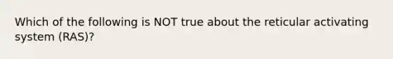 Which of the following is NOT true about the reticular activating system (RAS)?