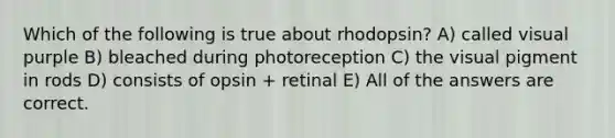 Which of the following is true about rhodopsin? A) called visual purple B) bleached during photoreception C) the visual pigment in rods D) consists of opsin + retinal E) All of the answers are correct.