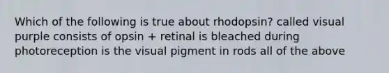 Which of the following is true about rhodopsin? called visual purple consists of opsin + retinal is bleached during photoreception is the visual pigment in rods all of the above