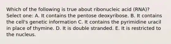 Which of the following is true about ribonucleic acid (RNA)? Select one: A. It contains the pentose deoxyribose. B. It contains the cell's genetic information C. It contains the pyrimidine uracil in place of thymine. D. It is double stranded. E. It is restricted to the nucleus.