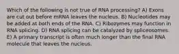 Which of the following is not true of RNA processing? A) Exons are cut out before mRNA leaves the nucleus. B) Nucleotides may be added at both ends of the RNA. C) Ribozymes may function in RNA splicing. D) RNA splicing can be catalyzed by spliceosomes. E) A primary transcript is often much longer than the final RNA molecule that leaves the nucleus.