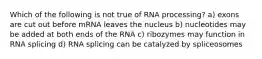 Which of the following is not true of RNA processing? a) exons are cut out before mRNA leaves the nucleus b) nucleotides may be added at both ends of the RNA c) ribozymes may function in RNA splicing d) RNA splicing can be catalyzed by spliceosomes