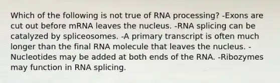 Which of the following is not true of RNA processing? -Exons are cut out before mRNA leaves the nucleus. -RNA splicing can be catalyzed by spliceosomes. -A primary transcript is often much longer than the final RNA molecule that leaves the nucleus. -Nucleotides may be added at both ends of the RNA. -Ribozymes may function in RNA splicing.