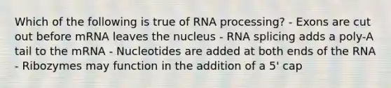 Which of the following is true of RNA processing? - Exons are cut out before mRNA leaves the nucleus - RNA splicing adds a poly-A tail to the mRNA - Nucleotides are added at both ends of the RNA - Ribozymes may function in the addition of a 5' cap