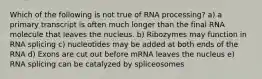 Which of the following is not true of RNA processing? a) a primary transcript is often much longer than the final RNA molecule that leaves the nucleus. b) Ribozymes may function in RNA splicing c) nucleotides may be added at both ends of the RNA d) Exons are cut out before mRNA leaves the nucleus e) RNA splicing can be catalyzed by spliceosomes