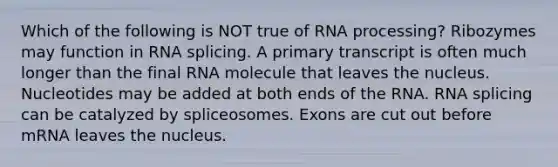 Which of the following is NOT true of RNA processing? Ribozymes may function in RNA splicing. A primary transcript is often much longer than the final RNA molecule that leaves the nucleus. Nucleotides may be added at both ends of the RNA. RNA splicing can be catalyzed by spliceosomes. Exons are cut out before mRNA leaves the nucleus.