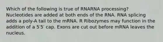 Which of the following is true of RNA<a href='https://www.questionai.com/knowledge/kapY3KpASG-rna-processing' class='anchor-knowledge'>rna processing</a>? Nucleotides are added at both ends of the RNA. RNA splicing adds a poly-A tail to the mRNA. R Ribozymes may function in the addition of a 5′5′ cap. Exons are cut out before mRNA leaves the nucleus.