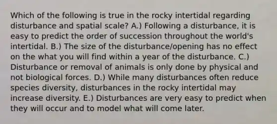 Which of the following is true in the rocky intertidal regarding disturbance and spatial scale? A.) Following a disturbance, it is easy to predict the order of succession throughout the world's intertidal. B.) The size of the disturbance/opening has no effect on the what you will find within a year of the disturbance. C.) Disturbance or removal of animals is only done by physical and not biological forces. D.) While many disturbances often reduce species diversity, disturbances in the rocky intertidal may increase diversity. E.) Disturbances are very easy to predict when they will occur and to model what will come later.