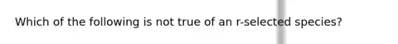 Which of the following is not true of an r-selected species?