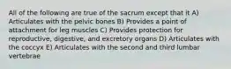 All of the following are true of the sacrum except that it A) Articulates with the pelvic bones B) Provides a point of attachment for leg muscles C) Provides protection for reproductive, digestive, and excretory organs D) Articulates with the coccyx E) Articulates with the second and third lumbar vertebrae