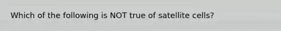 Which of the following is NOT true of satellite cells?