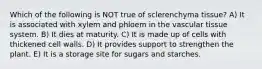 Which of the following is NOT true of sclerenchyma tissue? A) It is associated with xylem and phloem in the vascular tissue system. B) It dies at maturity. C) It is made up of cells with thickened cell walls. D) It provides support to strengthen the plant. E) It is a storage site for sugars and starches.