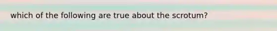 which of the following are true about the scrotum?