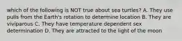 which of the following is NOT true about sea turtles? A. They use pulls from the Earth's rotation to determine location B. They are viviparous C. They have temperature dependent sex determination D. They are attracted to the light of the moon