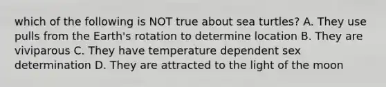which of the following is NOT true about sea turtles? A. They use pulls from the Earth's rotation to determine location B. They are viviparous C. They have temperature dependent sex determination D. They are attracted to the light of the moon