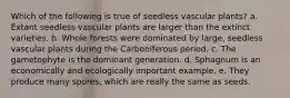 Which of the following is true of seedless vascular plants? a. Extant seedless vascular plants are larger than the extinct varieties. b. Whole forests were dominated by large, seedless vascular plants during the Carboniferous period. c. The gametophyte is the dominant generation. d. Sphagnum is an economically and ecologically important example. e. They produce many spores, which are really the same as seeds.