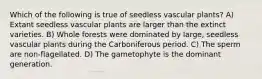 Which of the following is true of seedless vascular plants? A) Extant seedless vascular plants are larger than the extinct varieties. B) Whole forests were dominated by large, seedless vascular plants during the Carboniferous period. C) The sperm are non-flagellated. D) The gametophyte is the dominant generation.