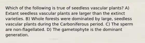 Which of the following is true of seedless vascular plants? A) Extant seedless vascular plants are larger than the extinct varieties. B) Whole forests were dominated by large, seedless vascular plants during the Carboniferous period. C) The sperm are non-flagellated. D) The gametophyte is the dominant generation.