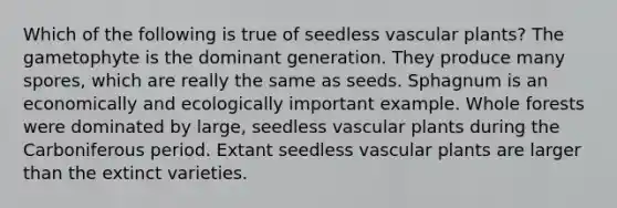 Which of the following is true of seedless vascular plants? The gametophyte is the dominant generation. They produce many spores, which are really the same as seeds. Sphagnum is an economically and ecologically important example. Whole forests were dominated by large, seedless vascular plants during the Carboniferous period. Extant seedless vascular plants are larger than the extinct varieties.