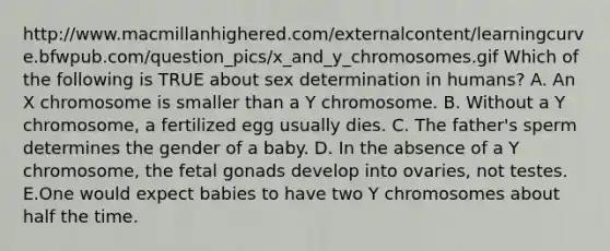 http://www.macmillanhighered.com/externalcontent/learningcurve.bfwpub.com/question_pics/x_and_y_chromosomes.gif Which of the following is TRUE about sex determination in humans? A. An X chromosome is smaller than a Y chromosome. B. Without a Y chromosome, a fertilized egg usually dies. C. The father's sperm determines the gender of a baby. D. In the absence of a Y chromosome, the fetal gonads develop into ovaries, not testes. E.One would expect babies to have two Y chromosomes about half the time.