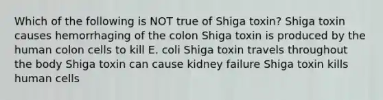 Which of the following is NOT true of Shiga toxin? Shiga toxin causes hemorrhaging of the colon Shiga toxin is produced by the human colon cells to kill E. coli Shiga toxin travels throughout the body Shiga toxin can cause kidney failure Shiga toxin kills human cells